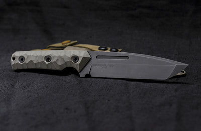 Saevus